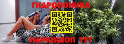 индика Балахна