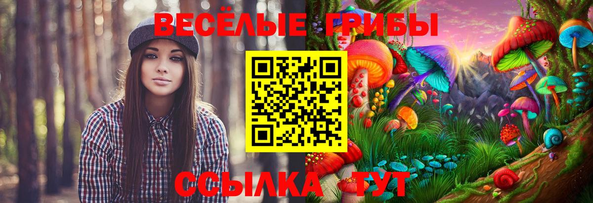 Джанкой  Псилоцибиновые грибы ЛСД  закладки  Вход с VPN 